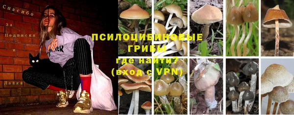 гидропоника Дмитров