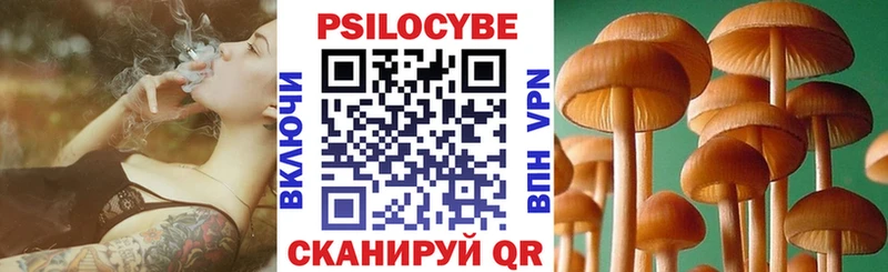 цены   Маркс  Псилоцибиновые грибы Psilocybine cubensis 
