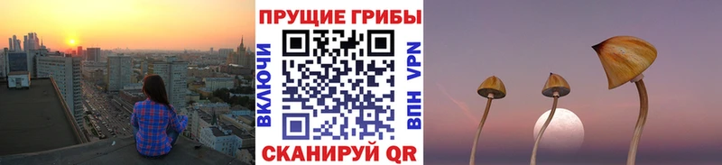 Галлюциногенные грибы MAGIC MUSHROOMS Маркс